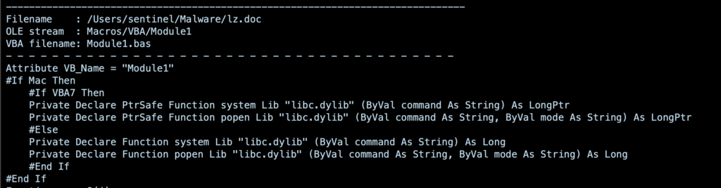 image of module1 vba