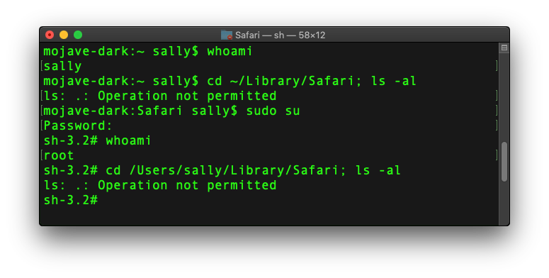 A screenshot image of Safari's folder source code.