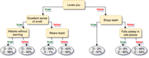 A decision tree model as an example of the process.