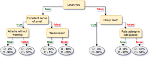 A decision tree model as an example of the process.