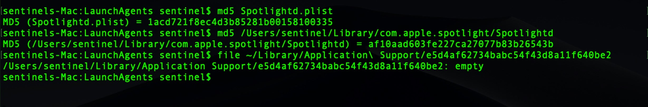 image of md5 hashes