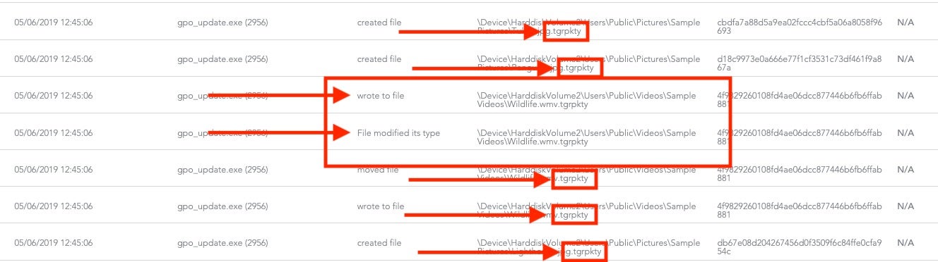 image of sentinel one file writes