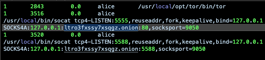 Screenshot of socat processes