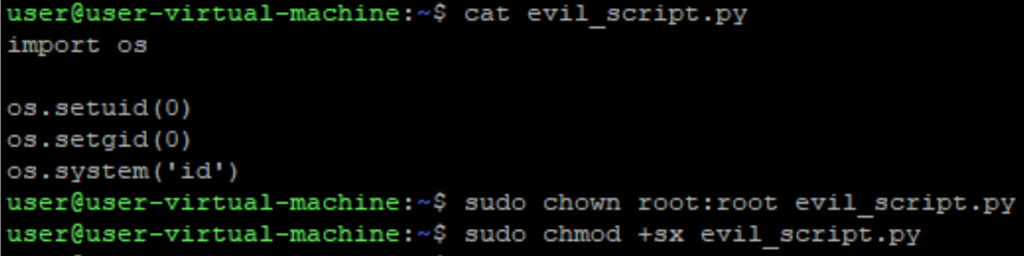 A screenshot of evil python script