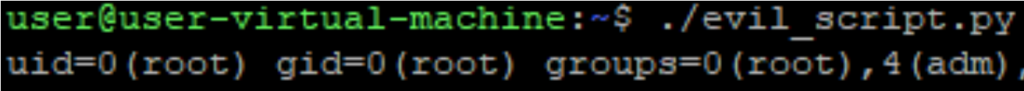 Image of executing an evil python script