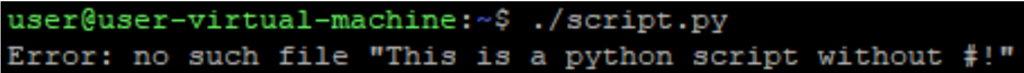 Screenshot of error without shebang