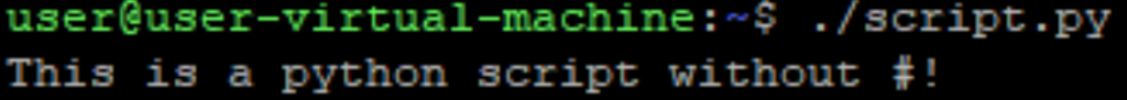 Image of working python script without shebang