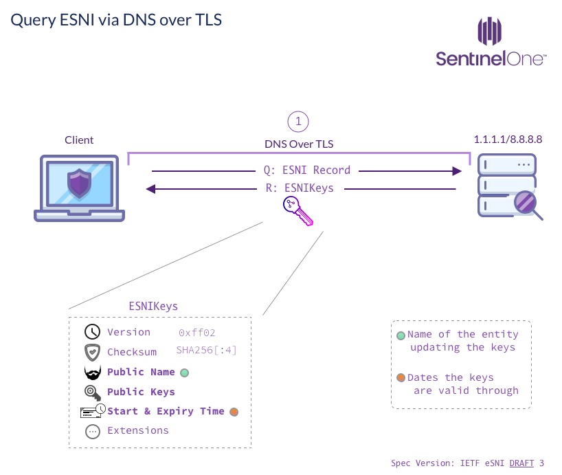 image of Query ESNI Via DNS Over TLS