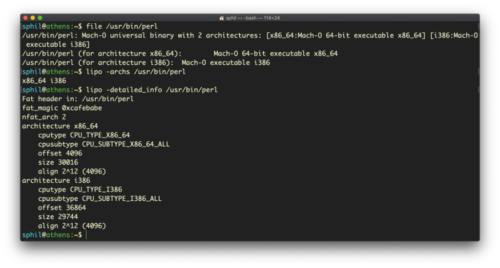 image of example of fat binary