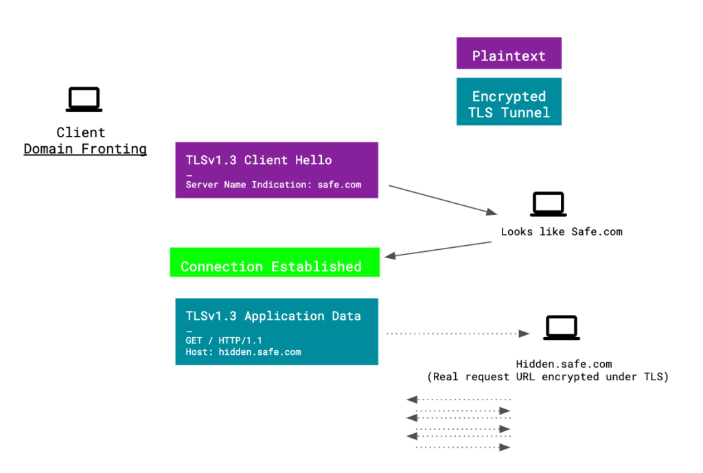 image of domain fronting explanation