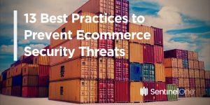 Picture of 13 Common Ecommerce Security Threats and Solutions