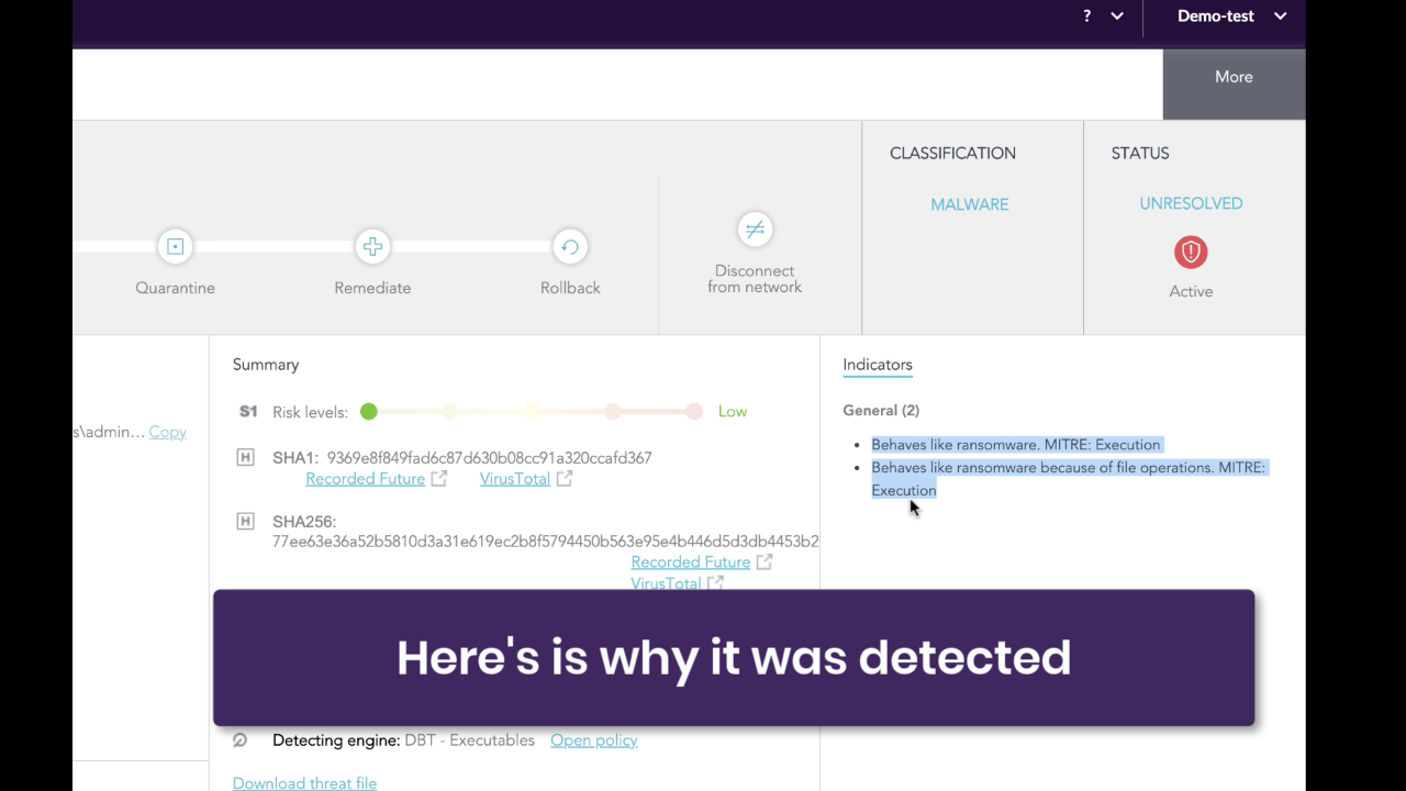 image of megacortex detection in console