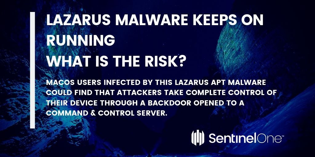 image of lazarus risks