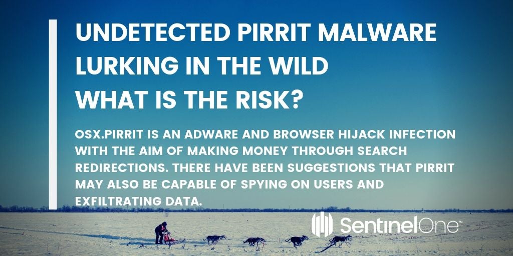 image of pirrit risks