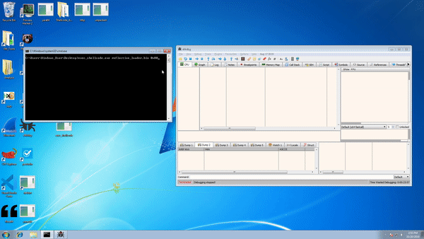 animated image of compiled shellcode analysis tool