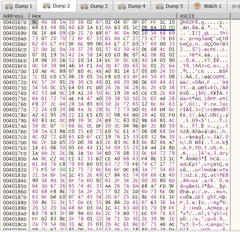 image of payload in memory