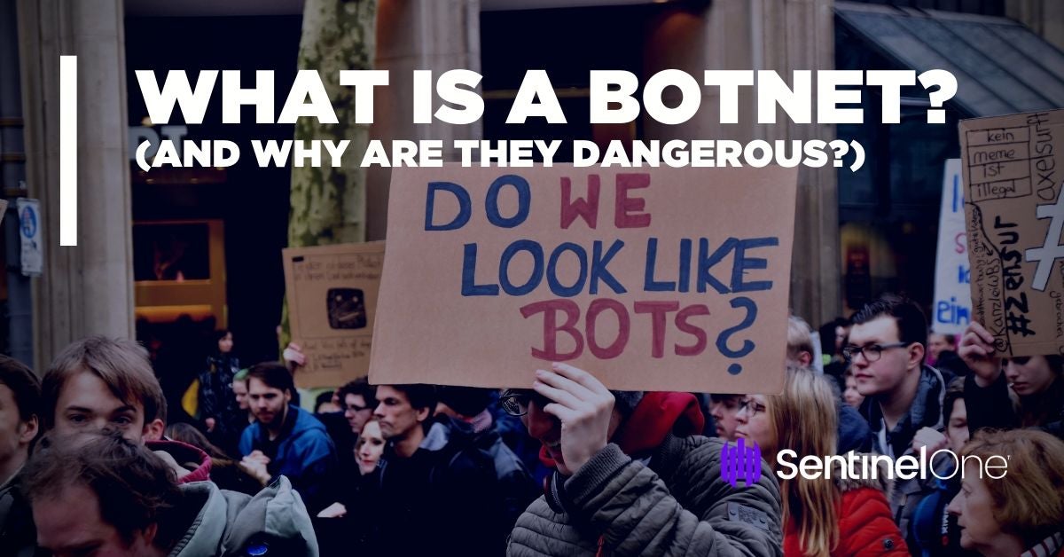image of what is a botnet
