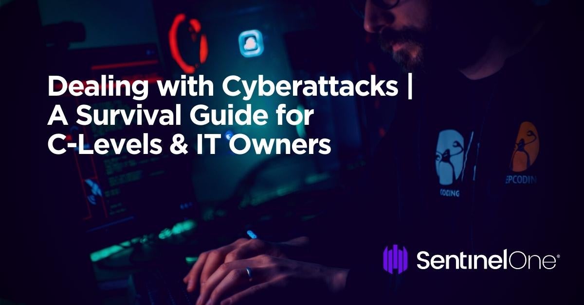 Dealing with Cyberattacks A Survival Guide for C-Levels & IT Owners