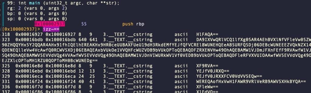  Executing izz~== at the r2 prompt