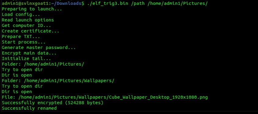 Trigona launched with basic /path parameter