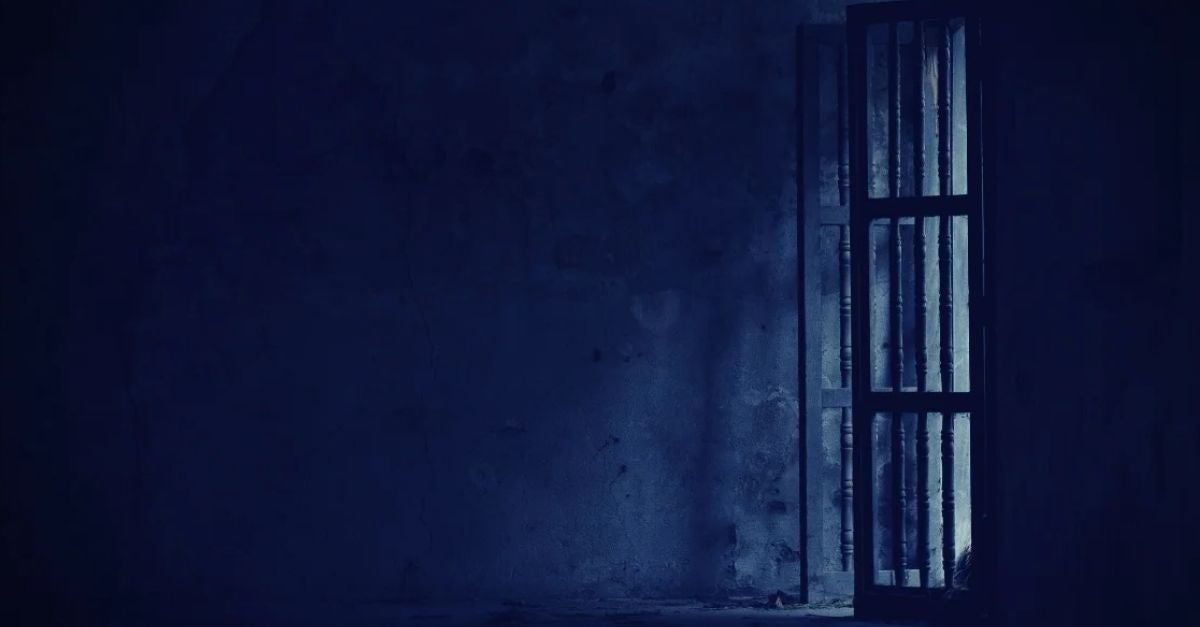 12 Months Fighting Cybercrime 2024 Review