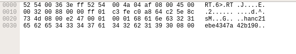 Image5: ICMP packet sent